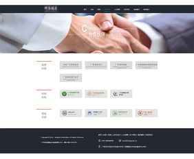 连接未来 互联网信息技术公司的价值与使命